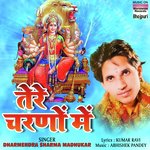 Tere Charno Mein - Abhishek Pandey Song Download